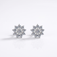 925 Sterling Silver Moissanite Zircon Stud Earrings